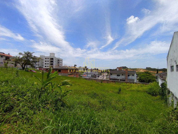 Imovel