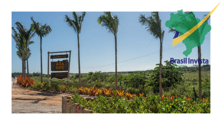 Imagem Terreno à Venda, 20 m² em Guaiù - Santa Cruz Cabrália Imagem Terreno à Venda, 20 m² em Guaiù - Santa Cruz Cabrália