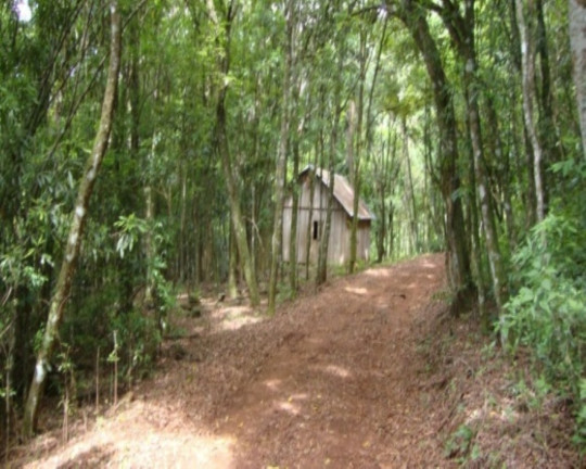 Terreno à Venda, 6 m² em Fazenda Pirajá - Nova Petrópolis