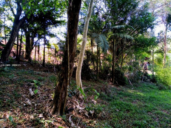 Imagem Terreno à Venda,  em Depois Do Centro - Ibiúna