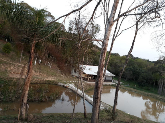 Imagem Chácara com 3 Quartos à Venda, 3.000 m² em Bugre - Balsa Nova