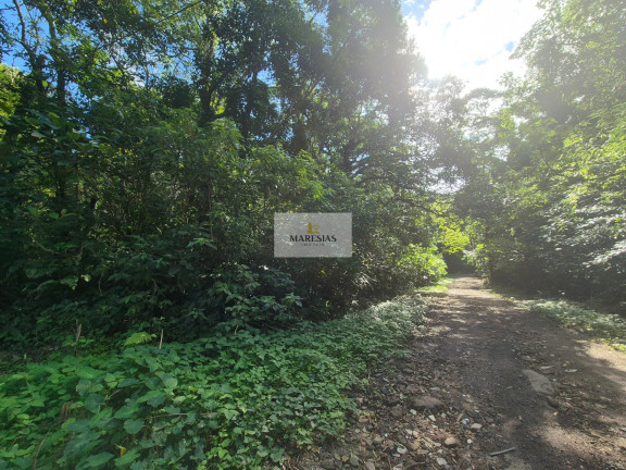 Imagem Terreno à Venda, 300 m² em Maresias - São Sebastião