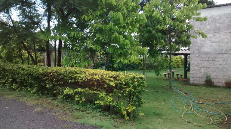 Imagem Fazenda à Venda, 8.400 m² em Zona Rural - Tambaú Imagem Fazenda à Venda, 8.400 m² em Zona Rural - Tambaú