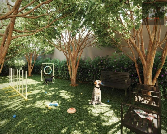 Imagem Apartamento com 2 Quartos à Venda, 62 m² em Perdizes - São Paulo