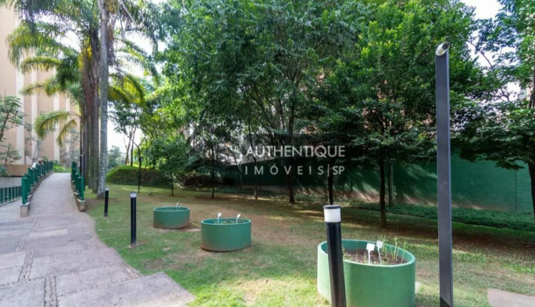 Imagem Apartamento com 4 Quartos à Venda, 127 m² em Paraíso Do Morumbi - São Paulo Imagem Apartamento com 4 Quartos à Venda, 127 m² em Paraíso Do Morumbi - São Paulo