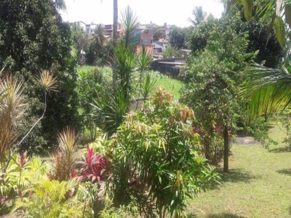 Imagem Chácara com 3 Quartos à Venda, 4.448 m² em São Cristóvão - Salvador