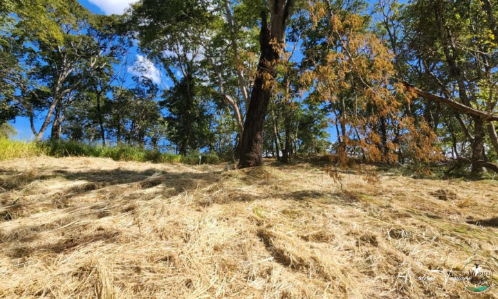 Imagem Terreno à Venda, 3.346 m² em Residencial Aldeia Do Vale - Goiânia Imagem Terreno à Venda, 3.346 m² em Residencial Aldeia Do Vale - Goiânia