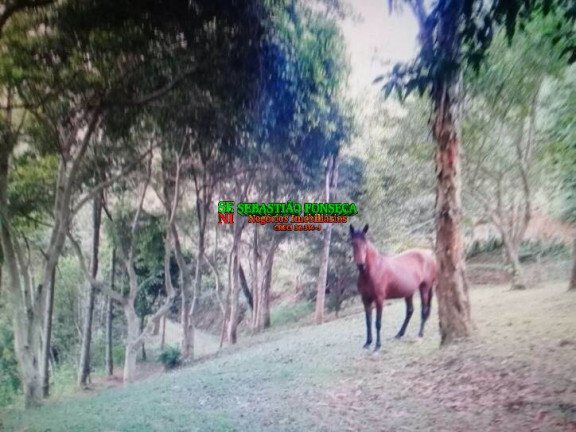 Imagem Chácara com 4 Quartos à Venda, 3 m² em São Francisco Xavier - São José Dos Campos