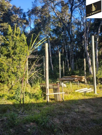 Imagem Imóvel com 4 Quartos à Venda, 29.000 m² em área Rural (areia Branca Dos Assis) - Mandirituba Imagem Imóvel com 4 Quartos à Venda, 29.000 m² em área Rural (areia Branca Dos Assis) - Mandirituba