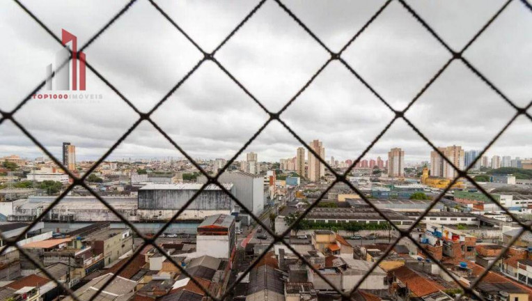 Imagem Apartamento com 3 Quartos à Venda, 79 m² em Jardim Pereira Leite - São Paulo