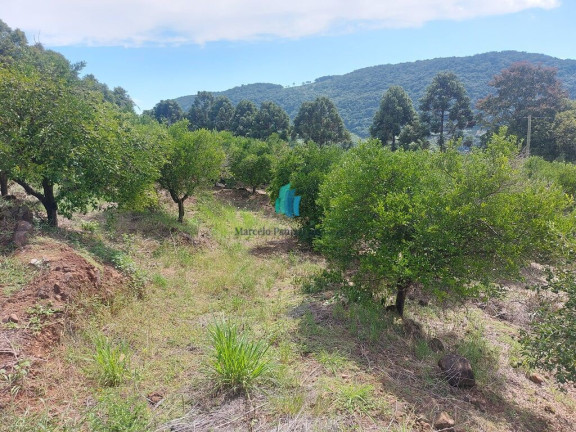 Imagem Terreno à Venda, 109.312 m² em Linha Tiradentes - Veranópolis