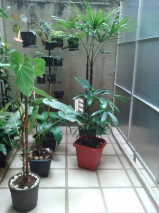 Imagem Apartamento com 2 Quartos à Venda, em Nossa Senhora De Fátima - Santa Maria Imagem Apartamento com 2 Quartos à Venda, em Nossa Senhora De Fátima - Santa Maria