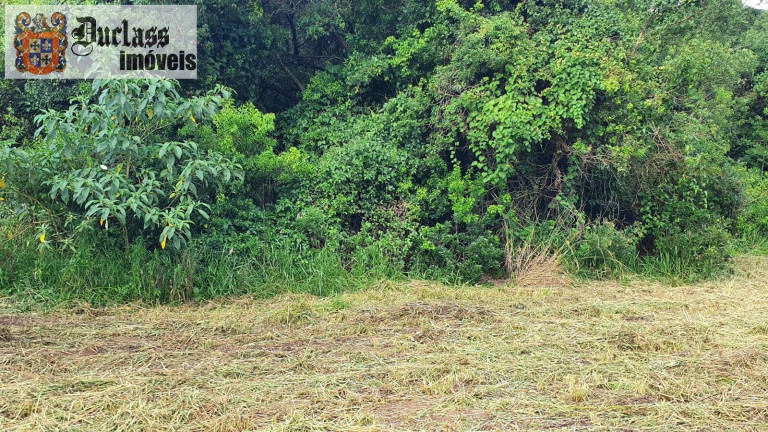 Imagem Imóvel Comercial à Venda, 40.000 m² em Caetetuba - Atibaia