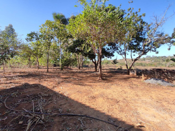 Imagem Chácara à Venda, 5.000 m² em Parque Las Vegas - Bela Vista De Goiás Imagem Chácara à Venda, 5.000 m² em Parque Las Vegas - Bela Vista De Goiás