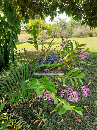 Imagem Terreno em Condomínio à Venda, 2.600 m² em Residência Pararanga - Atibaia Imagem Terreno em Condomínio à Venda, 2.600 m² em Residência Pararanga - Atibaia