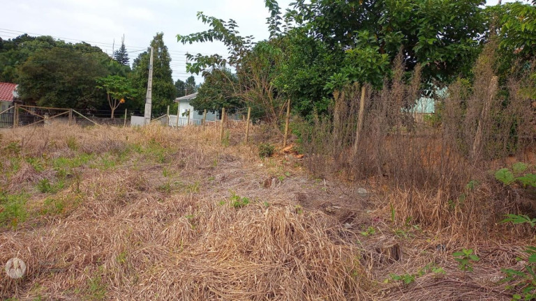 Imagem Terreno à Venda, 630 m² em Cidade Alta - Trombudo Central Imagem Terreno à Venda, 630 m² em Cidade Alta - Trombudo Central