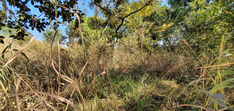 Imagem Terreno à Venda, 980 m² em Fernão Dias - Esmeraldas Imagem Terreno à Venda, 980 m² em Fernão Dias - Esmeraldas