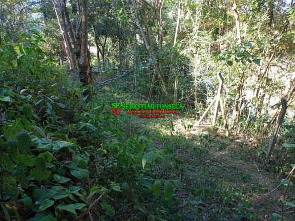 Imagem Chácara à Venda, 5.000 m² em Canaã Ll - Jambeiro Imagem Chácara à Venda, 5.000 m² em Canaã Ll - Jambeiro