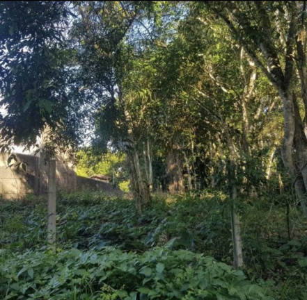Terreno à Venda, 1 m² em Aldeia Dos Camarás - Camaragibe