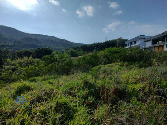 Imagem Terreno à Venda, 435 m² em Itacorubi - Florianópolis