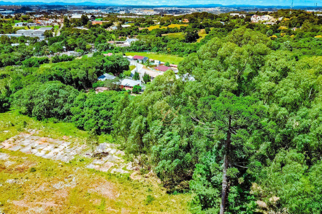 Imagem Terreno à Venda, 10.000 m² em São Miguel - Curitiba Imagem Terreno à Venda, 10.000 m² em São Miguel - Curitiba