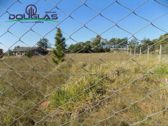 Imagem Terreno à Venda, 1.200 m² em Viamão Imagem Terreno à Venda, 1.200 m² em Viamão