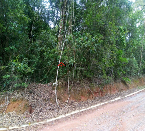 Terreno à Venda,  em Depois Do Centro - Ibiúna