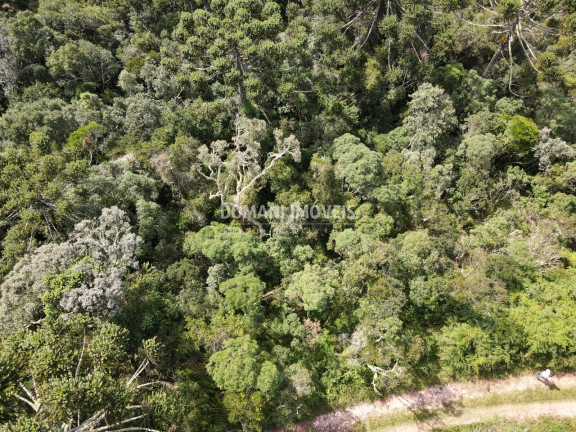 Imagem Terreno à Venda, 5.100 m² em Região Do Atalaia - Campos Do Jordão Imagem Terreno à Venda, 5.100 m² em Região Do Atalaia - Campos Do Jordão