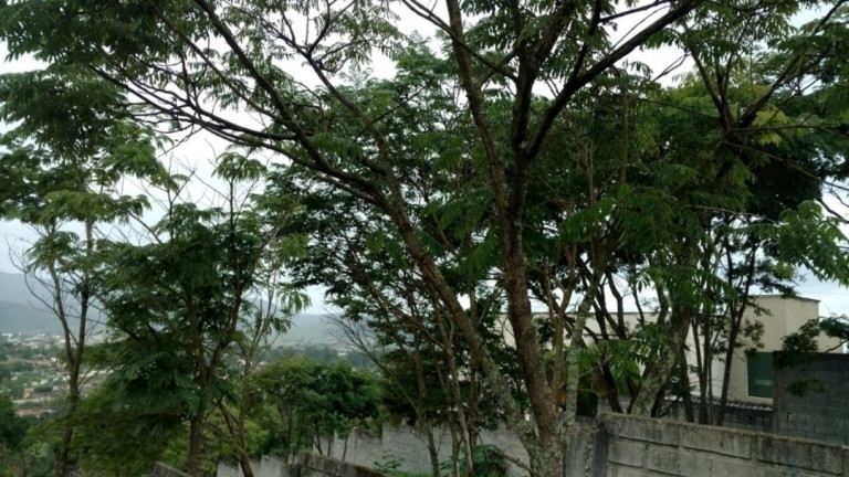 Imagem Terreno à Venda, 1 m² em Jardim Estância Brasil - Atibaia Imagem Terreno à Venda, 1 m² em Jardim Estância Brasil - Atibaia