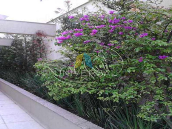 Imagem Casa com 2 Quartos à Venda, em Vila Formosa - Sao Paulo Imagem Casa com 2 Quartos à Venda, em Vila Formosa - Sao Paulo