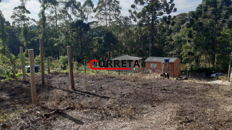 Imagem Terreno à Venda, 500 m² em Vargem Do Salto - Ibiúna Imagem Terreno à Venda, 500 m² em Vargem Do Salto - Ibiúna