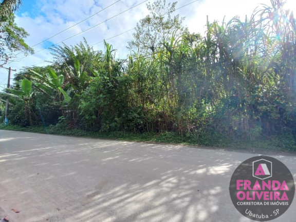 Imagem Terreno à Venda, 670 m² em Itamambuca - Ubatuba Imagem Terreno à Venda, 670 m² em Itamambuca - Ubatuba