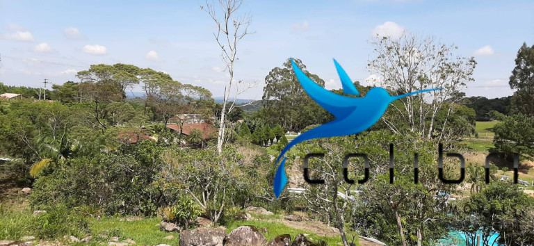 Imagem Chácara com 2 Quartos à Venda, 2.030 m² em Ximbuva - Agudos Do Sul