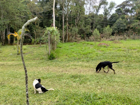 Imagem Terreno à Venda, 2.533 m² em Caputera - Cotia Imagem Terreno à Venda, 2.533 m² em Caputera - Cotia