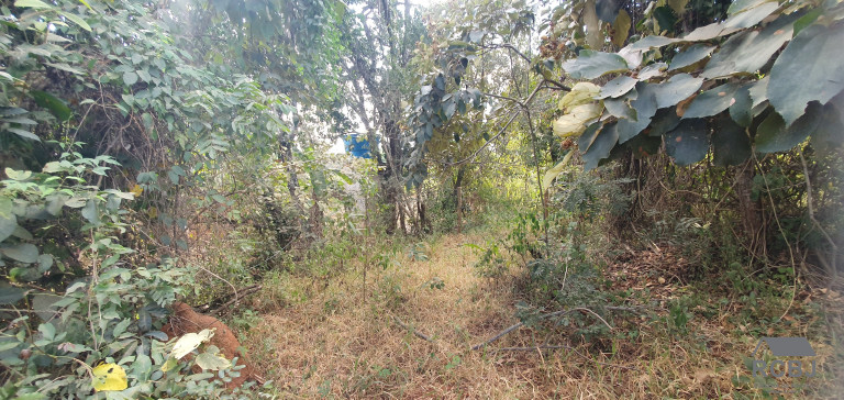 Imagem Terreno à Venda, 1.300 m² em Esmeraldas/quati - Esmeraldas Imagem Terreno à Venda, 1.300 m² em Esmeraldas/quati - Esmeraldas