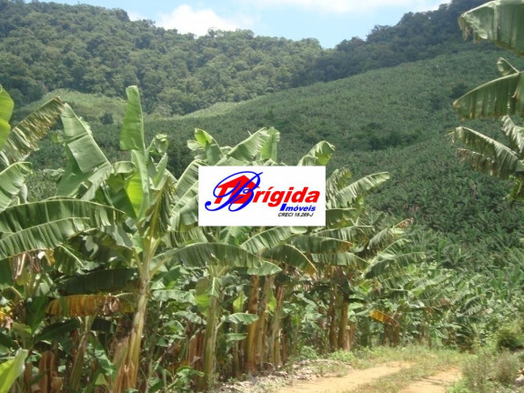 Fazenda à Venda, 275 m² em Centro - Jacupiranga