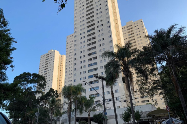 Imagem Imóvel com 3 Quartos à Venda, 73 m² em Vila Amélia - São Paulo