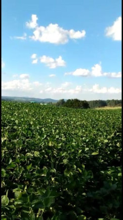 Imagem Fazenda à Venda, 363 m² em Rural - Ortigueira Imagem Fazenda à Venda, 363 m² em Rural - Ortigueira