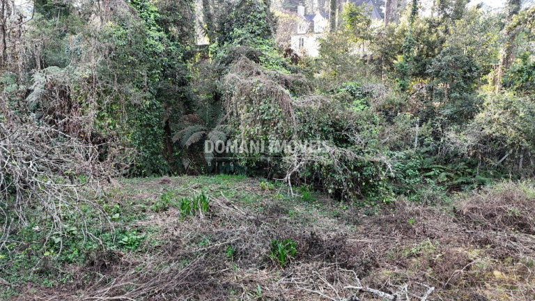 Imagem Terreno à Venda, 1.200 m² em Região De Capivari - Campos Do Jordão Imagem Terreno à Venda, 1.200 m² em Região De Capivari - Campos Do Jordão