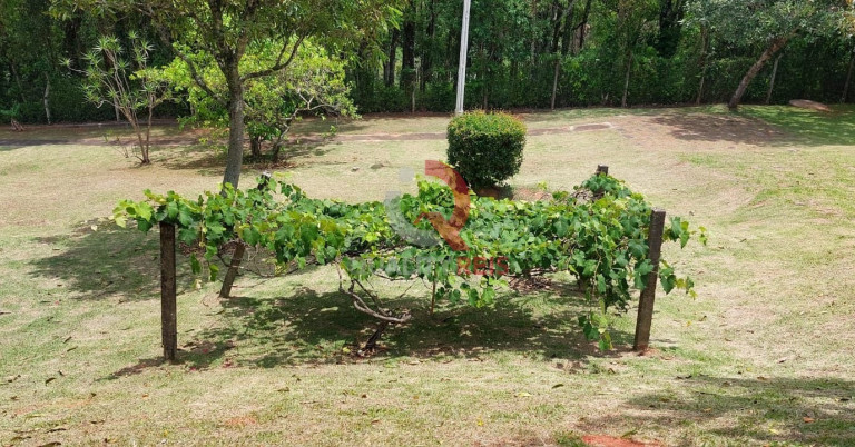 Imagem Imóvel com 7 Quartos à Venda, 5.000 m² em Ivoturucaia - Jundiaí Imagem Imóvel com 7 Quartos à Venda, 5.000 m² em Ivoturucaia - Jundiaí