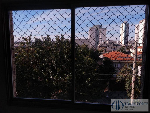 Imagem Apartamento com 3 Quartos à Venda, 67 m² em Vila Antonieta - São Paulo