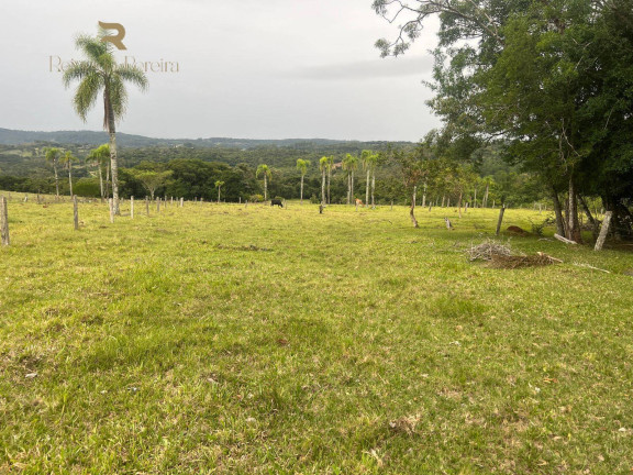 Imagem Chácara com 2 Quartos à Venda, 32.000 m² em Fazenda Fialho - Taquara