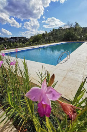 Imagem Apartamento com 2 Quartos à Venda, 45 m² em Recanto Vista Alegre - Cotia Imagem Apartamento com 2 Quartos à Venda, 45 m² em Recanto Vista Alegre - Cotia