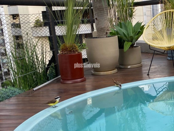 Imagem Apartamento com 3 Quartos à Venda, 245 m² em Real Parque - São Paulo Imagem Apartamento com 3 Quartos à Venda, 245 m² em Real Parque - São Paulo