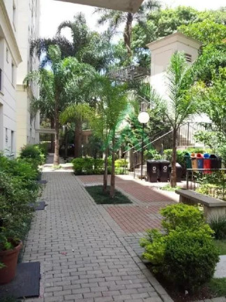 Imagem Apartamento com 2 Quartos à Venda, 48 m² em Vila Firmiano Pinto - São Paulo Imagem Apartamento com 2 Quartos à Venda, 48 m² em Vila Firmiano Pinto - São Paulo