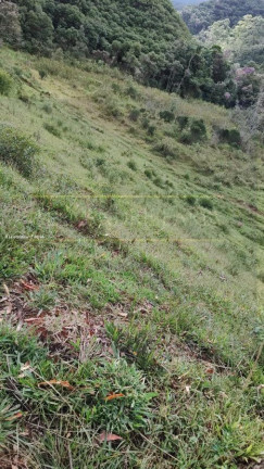 Imagem Terreno à Venda, 4 m² em Bairro Alto - Natividade Da Serra Imagem Terreno à Venda, 4 m² em Bairro Alto - Natividade Da Serra