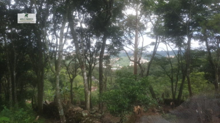 Imagem Terreno à Venda, 1.600 m² em Jardim Suíça Paulista - São Roque Imagem Terreno à Venda, 1.600 m² em Jardim Suíça Paulista - São Roque