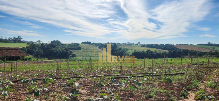 Imagem Fazenda à Venda, 291.613 m² em Porto Feliz - Sorocaba - Porto Feliz Imagem Fazenda à Venda, 291.613 m² em Porto Feliz - Sorocaba - Porto Feliz