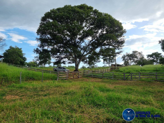 Imagem Fazenda à Venda, 45 m² em Zona Rural - Varjão Imagem Fazenda à Venda, 45 m² em Zona Rural - Varjão