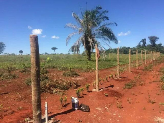 Imagem Chácara à Venda, 1.270 m² em Anápolis